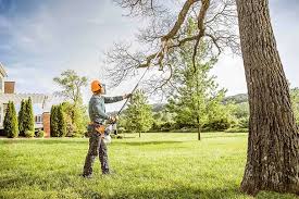 Best Emergency Tree Removal  in Herculaneum, MO